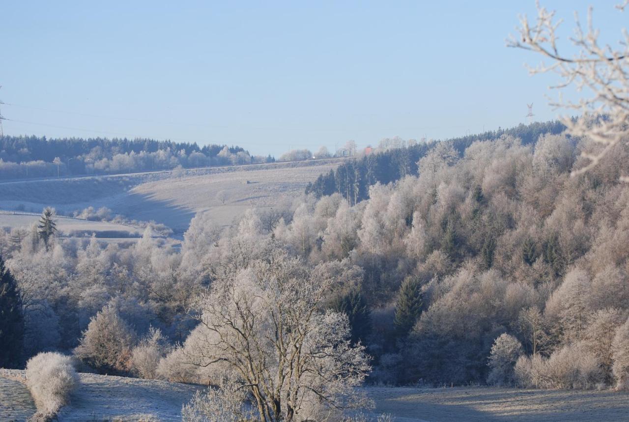 Hotel L'Auf Der Tomm Martelange Zewnętrze zdjęcie